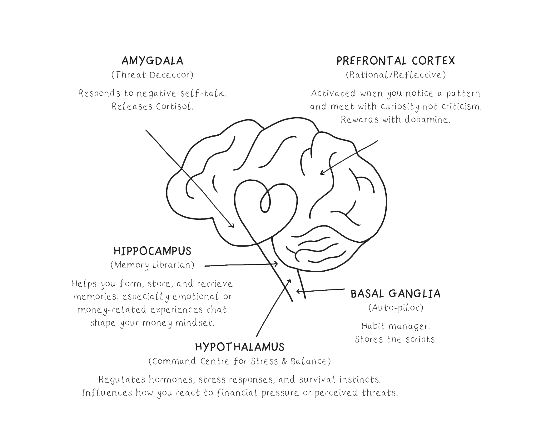 Neuroscience of Money